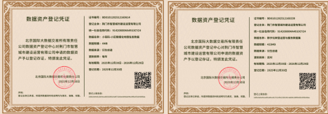 智城公司數(shù)據(jù)資產(chǎn)